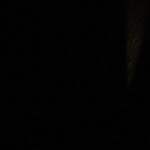 Meet your Posher, Terri